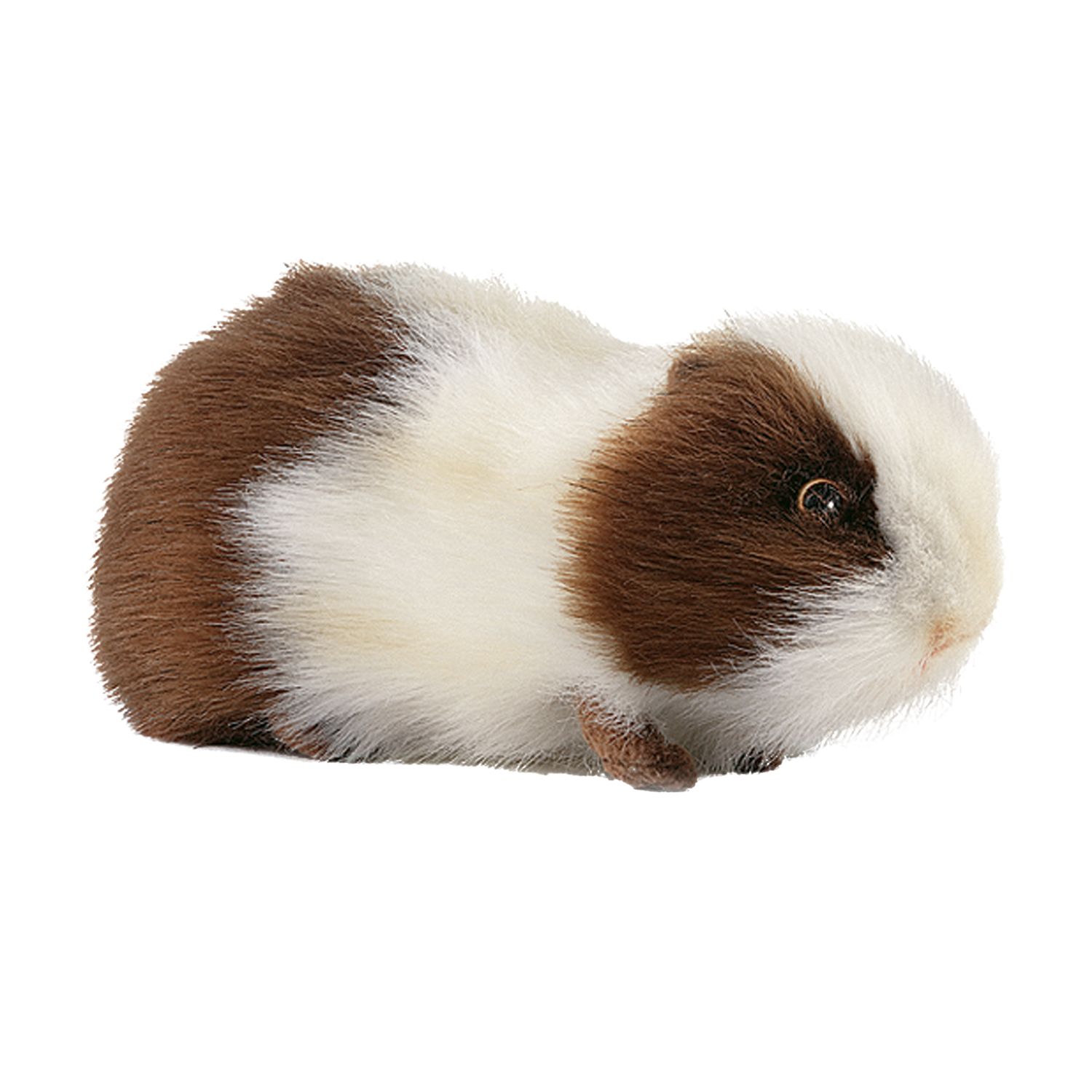 cuddly toy guinea pig