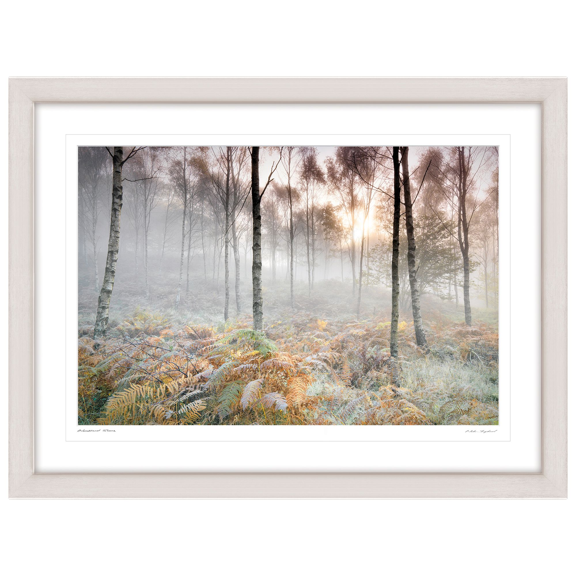 Buy Mike Shepherd - Woodland Scene Framed Print, 81 x 107cm | John Lewis