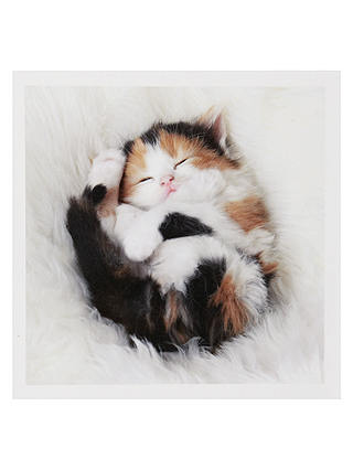 Woodmansterne Kitten Sleeping Greeting Card