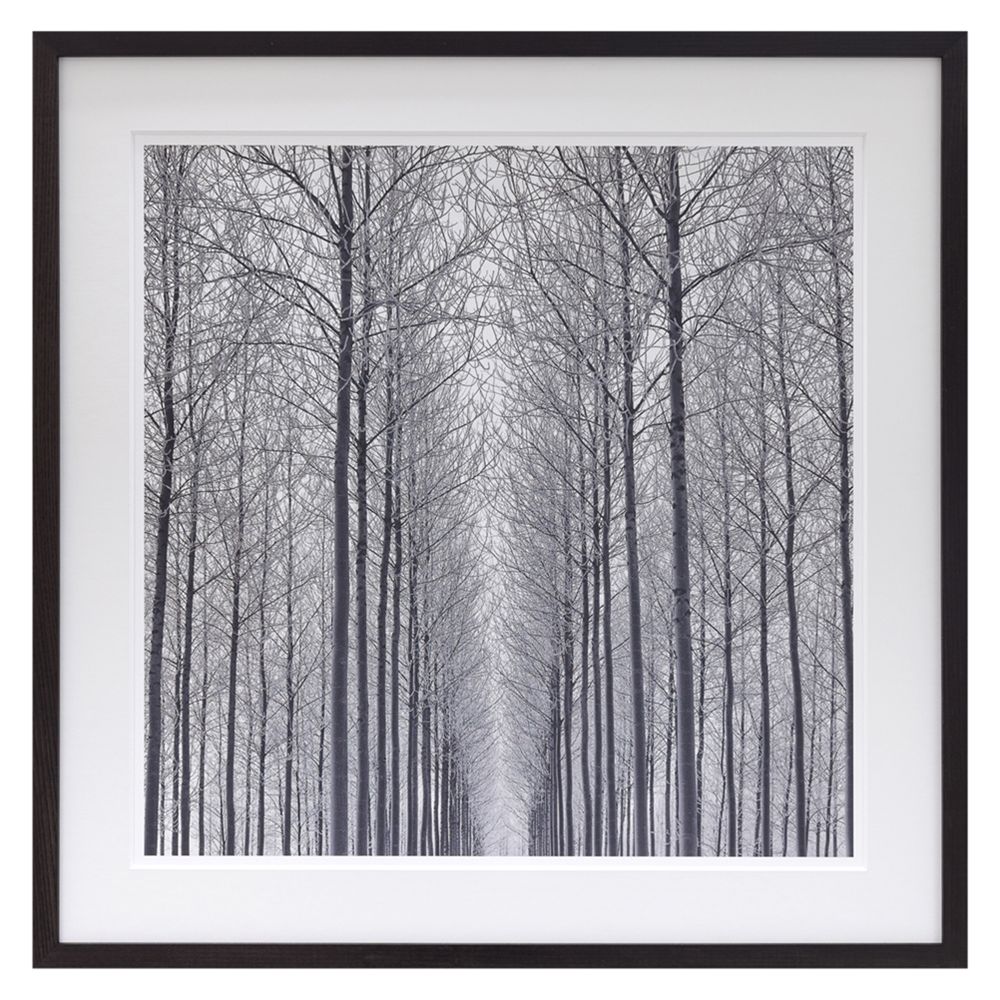 Doug Chinnery - Equilibrum Framed Print, 79 x 79cm at John Lewis & Partners