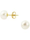 A B Davis 9ct Yellow Gold Freshwater Pearl Stud Earrings, White
