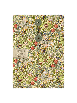 Morris & Co. Golden Lily Drawer Liners, Pack of 5