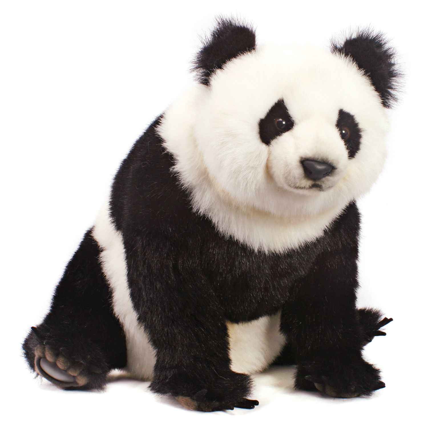 hansa panda