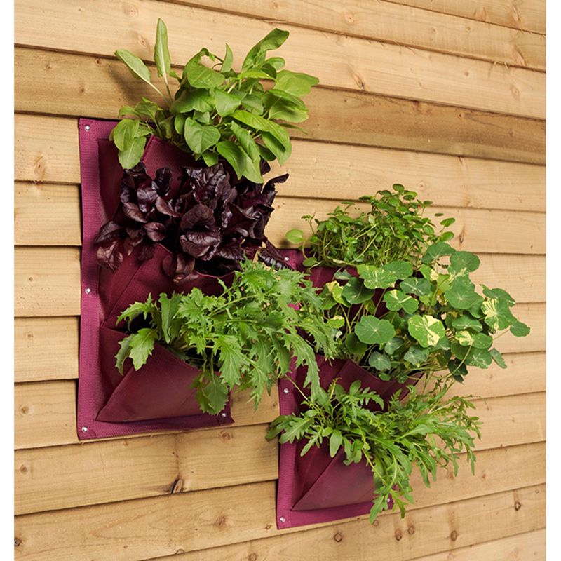 Pack of 2 Pink New Blossom Verti-Planter Wall Planters by Burgon & Ball 