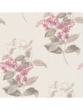 Cole & Son Madras Violet Wallpaper, 100/12058