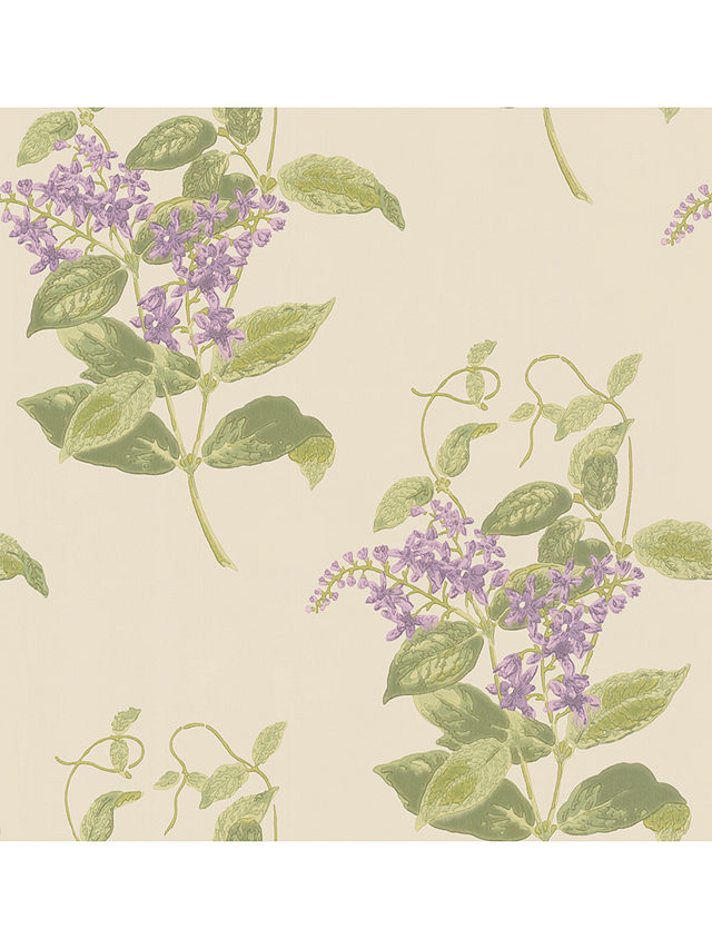 Cole & Son Madras Violet Wallpaper, 100/12056