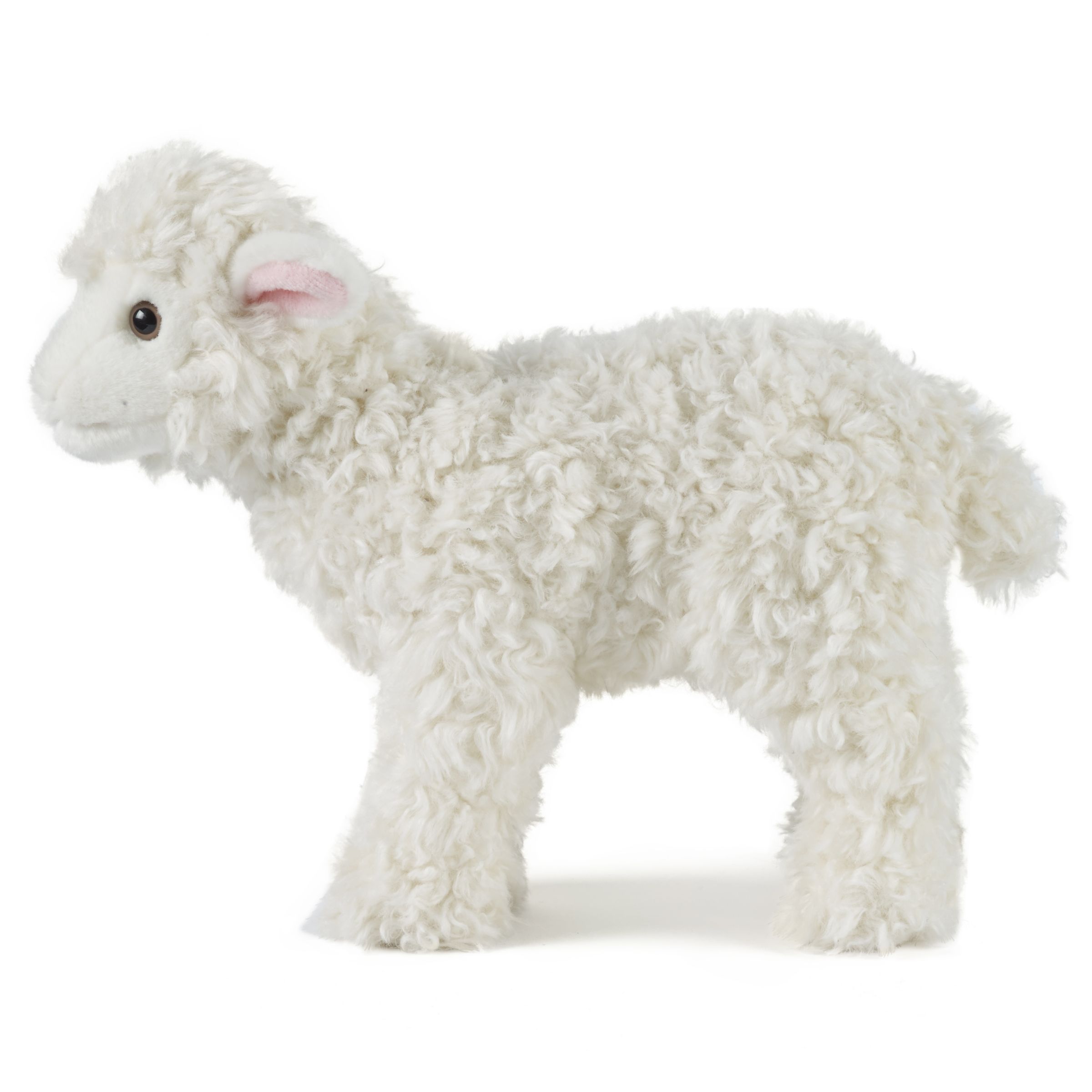 lamb soft toys