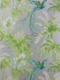 Matthew Williamson Bird of Paradise Wallpaper, Jade, w6655-04