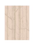 Cole & Son Woods Wallpaper, 103/5024