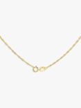 IBB 18ct Yellow Gold Twist Curb Chain Necklace, Yellow Gold