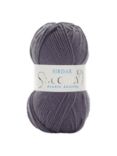 Sirdar Snuggly DK Knitting Yarn, 50g, Eeyore