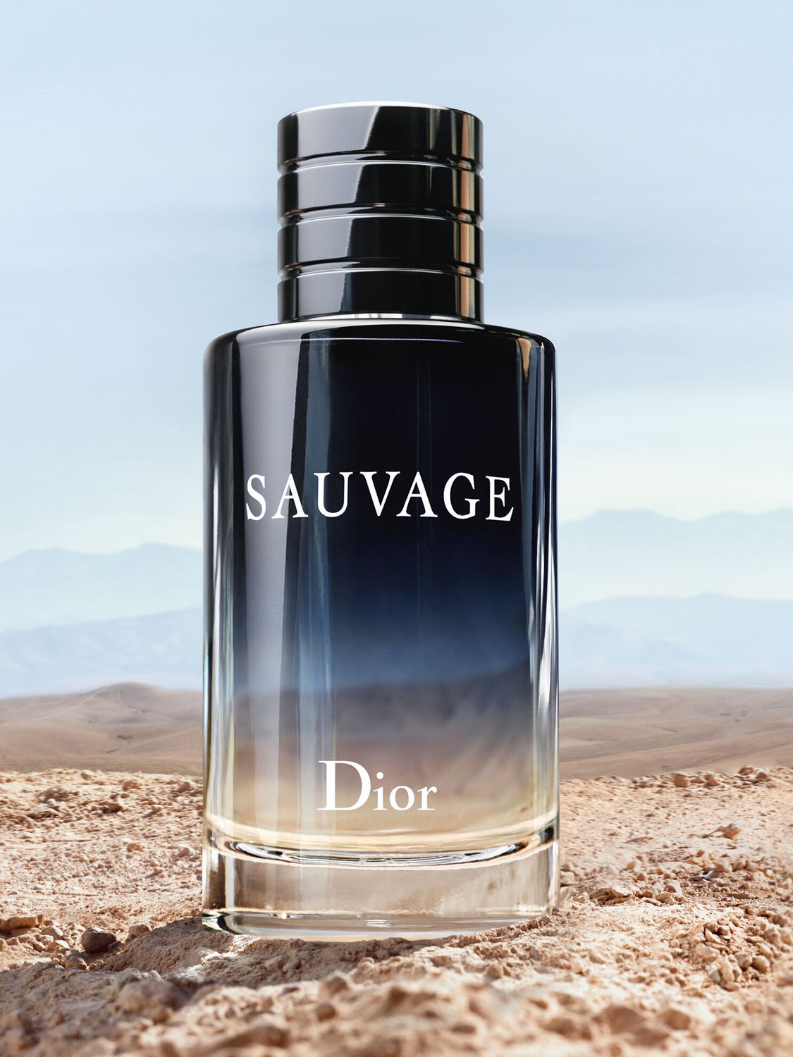 Sauvage 100ml Edt Shop, 54% OFF | lagence.tv