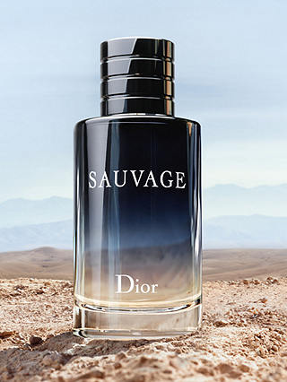 Dior Sauvage Spray Eau de Toilette, 100ml