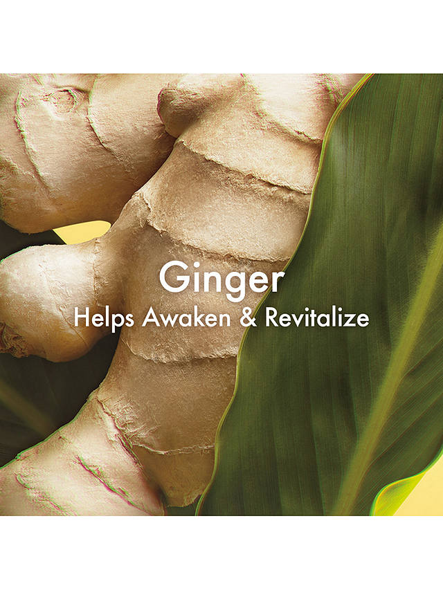Origins Ginger Burst Savory Body Wash, 200ml 3