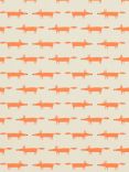 Scion Little Fox Wallpaper