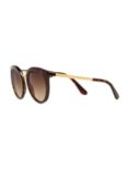 Dolce & Gabbana DG4268 Round Sunglasses, Tortoise