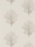 Sanderson Oak Filigree Wallpaper, Milk / Pearl DWOW215699