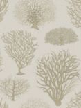 Cole & Son Seafern Wallpaper