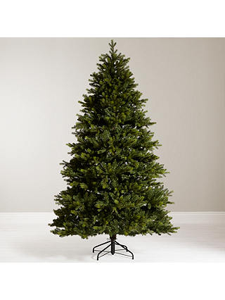 John Lewis Brunswick Spruce Christmas Tree, 7ft