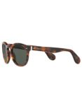 Ralph Lauren RL8146 Oval Sunglasses, Tortoise