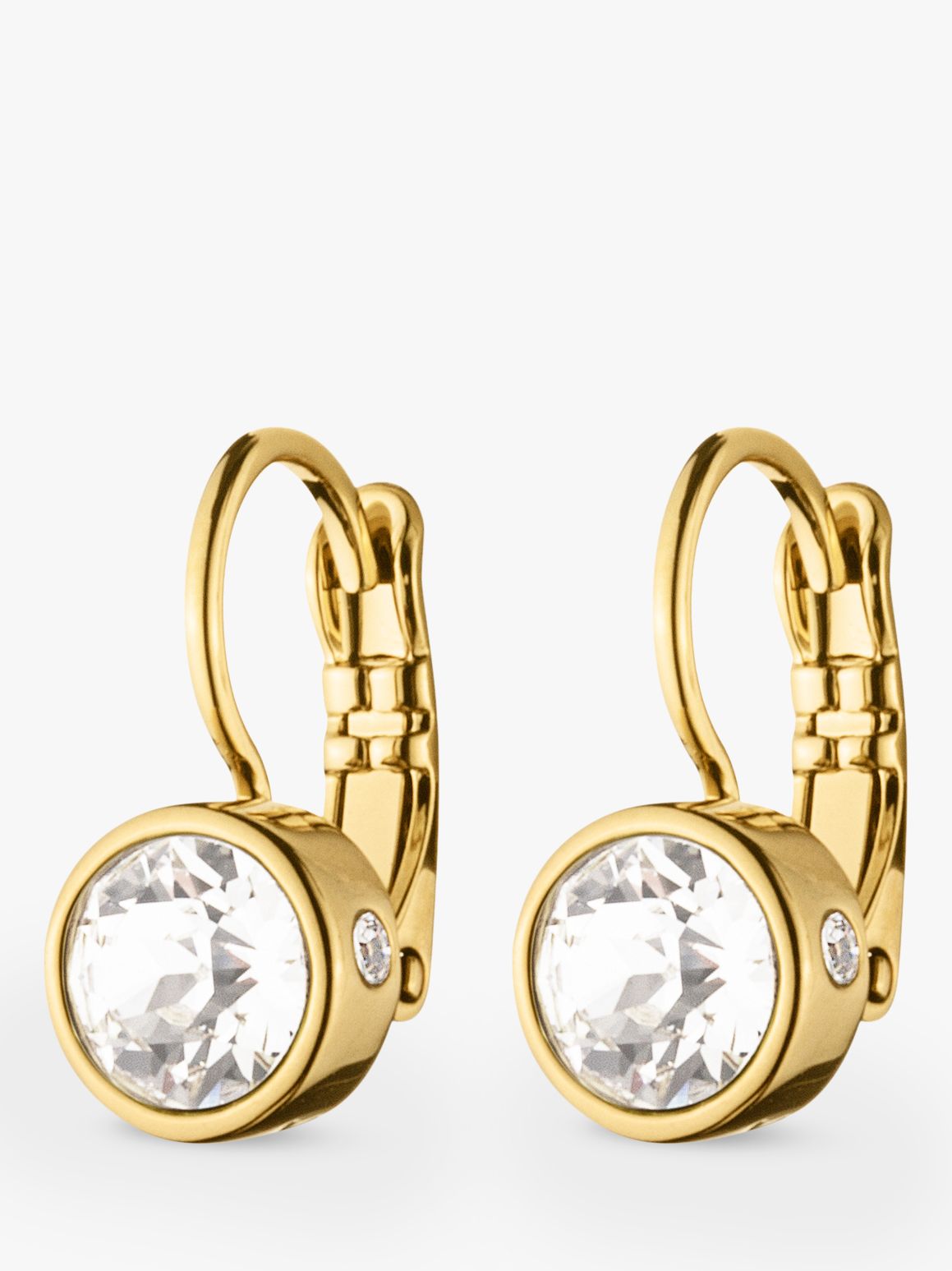 DYRBERG/KERN Swarovski Crystals Hook Earrings