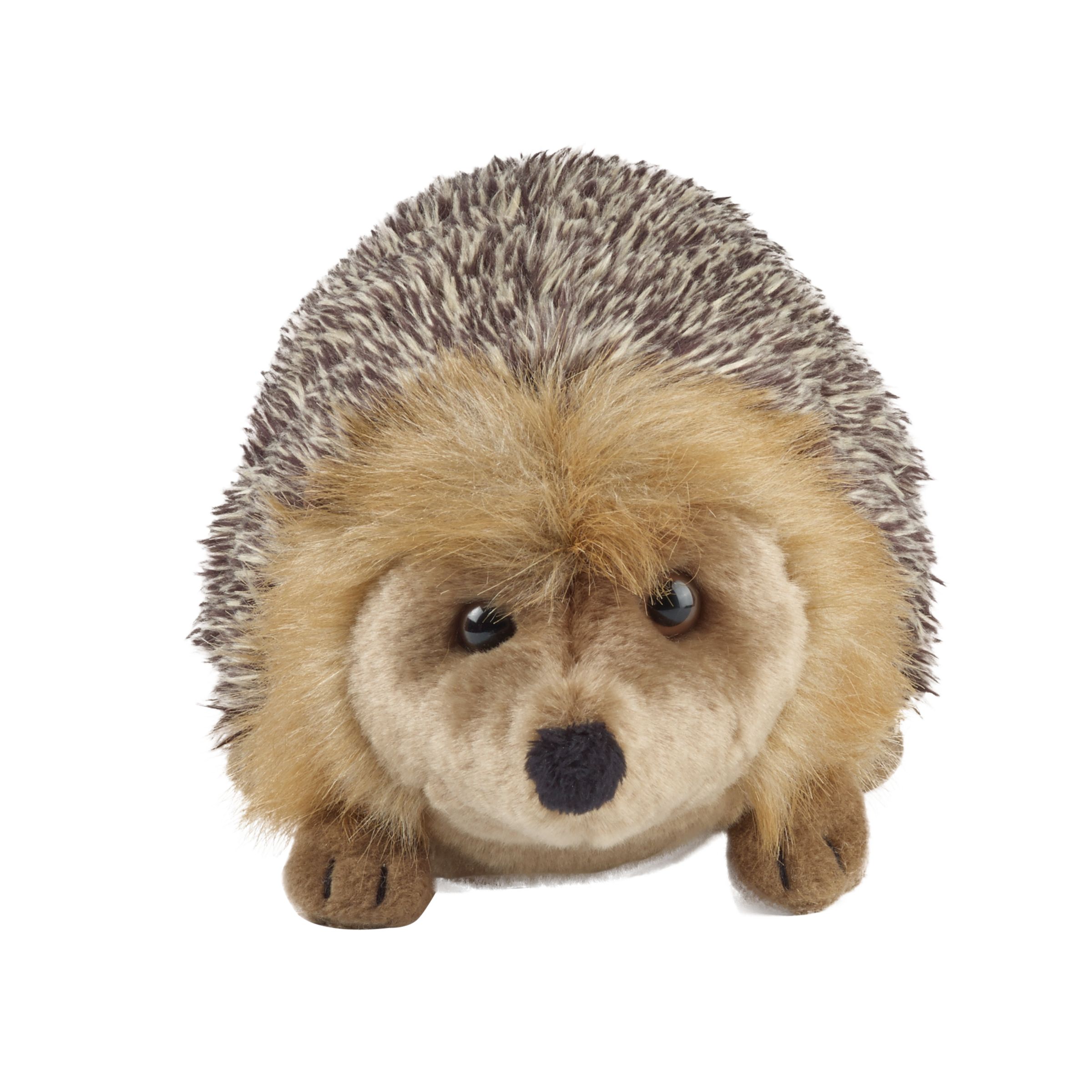 cuddly toy hedgehog