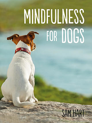 Mindfulness For Dogs Book