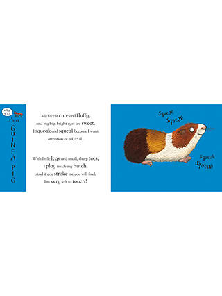 Flip Flap Pets Children's Book