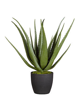 Artificial Aloe Vera Plant In Pot