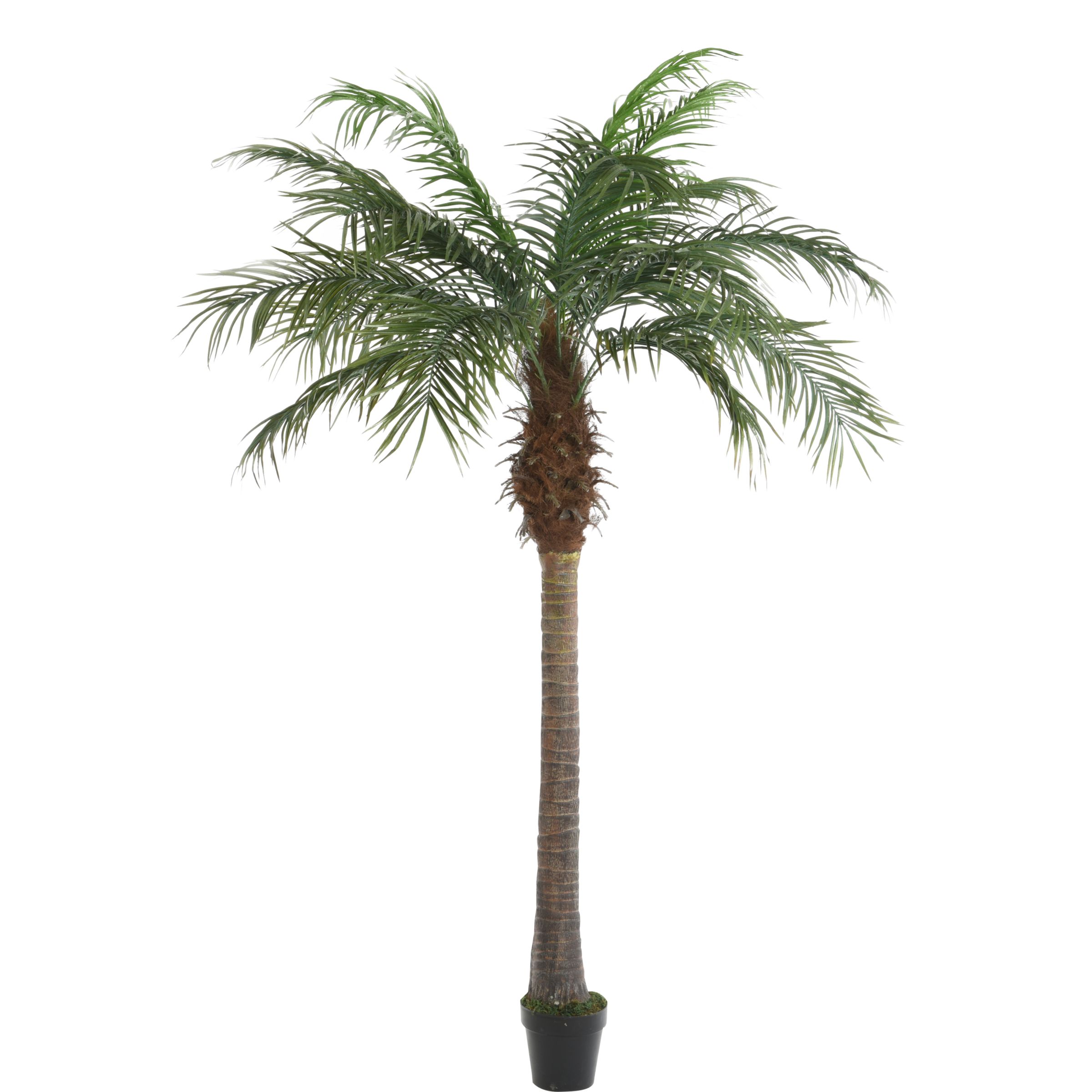 Buy John Lewis Decorative Palm Tree Online at johnlewis.com