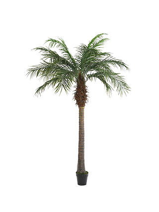 John Lewis & Partners Decorative Palm Tree