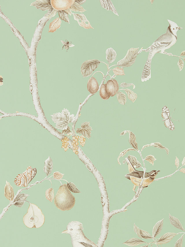 Sanderson Fruit Aviary Wallpaper, DART216311