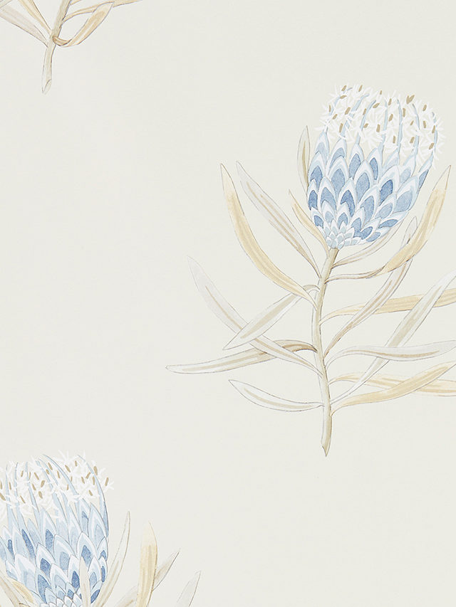 Sanderson Protea Flower Wallpaper, DART216327