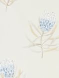 Sanderson Protea Flower Wallpaper