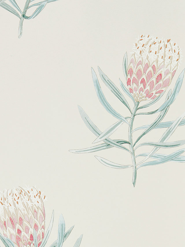 Sanderson Protea Flower Wallpaper, DART216330