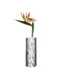 Alessi "Barkvase" Flower Vase, H30cm, Silver