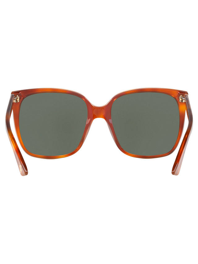 Gucci GG0022S Square Sunglasses, Tortoise/Dark Green