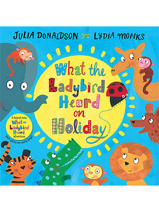 What The Ladybird Heard On Holiday Children's Book