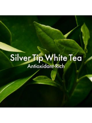 Origins A Perfect World™ Antioxidant Moisturiser with White Tea, 50ml 4