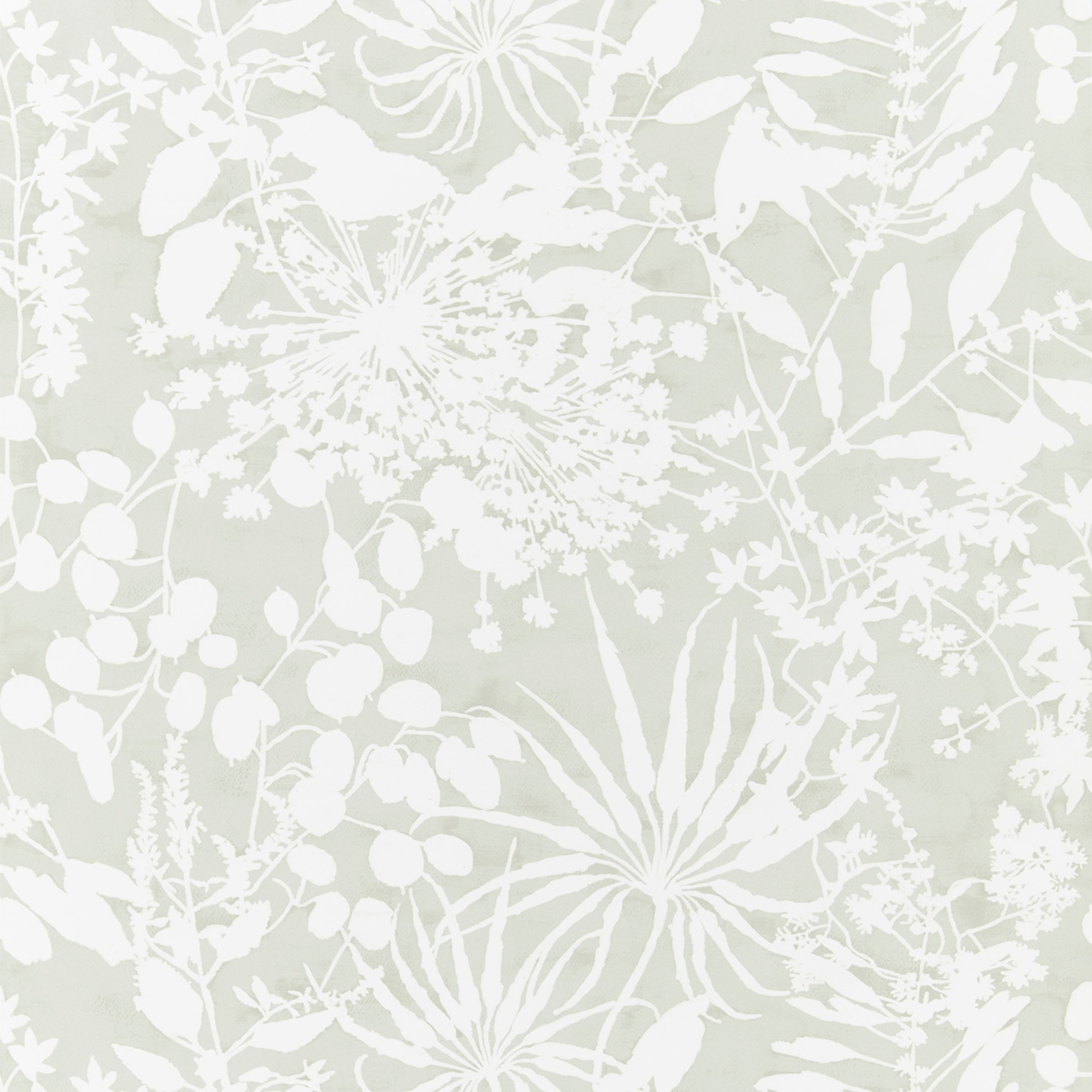 Harlequin Coralline Wallpaper, Stone 111640