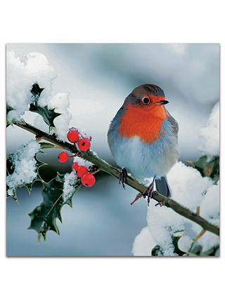 Darkroom Berry Robins Christmas Cards, Pack of 16
