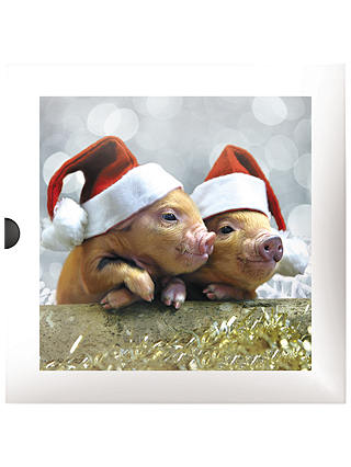 Darkroom Piglets and Lambs Christmas Cards, Pack of 16