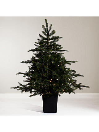 John Lewis & Partners Isla Emerald Pre-Lit Potted Christmas Tree, 4.5ft