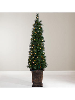 John Lewis Pre-Lit Pencil Pine Potted Christmas Tree, 5ft