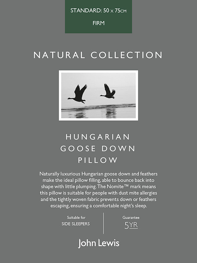 John Lewis Natural Collection Hungarian Goose Down Standard Pillow, Firm