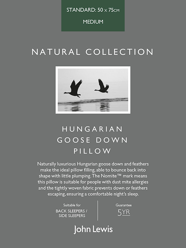 John Lewis Natural Collection Hungarian Goose Down Standard Pillow, Medium