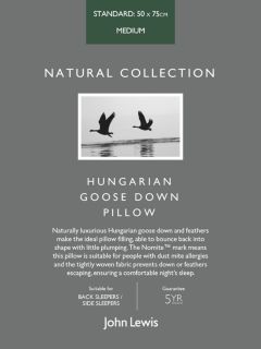 John Lewis Natural Collection Hungarian Goose Down Standard Pillow, Medium