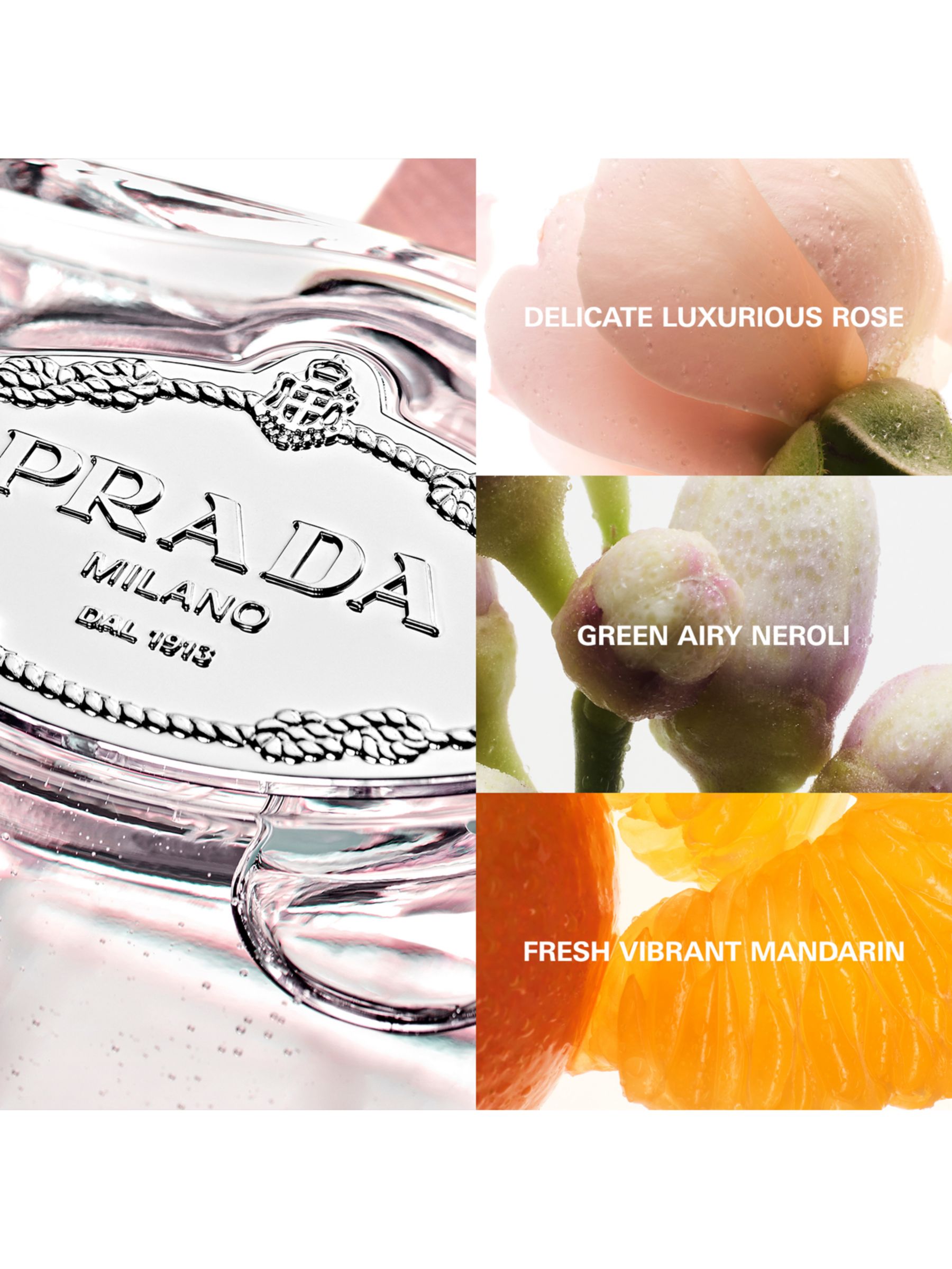 Prada Les Infusions de Prada Rose Eau de Parfum, 100ml at John Lewis &  Partners