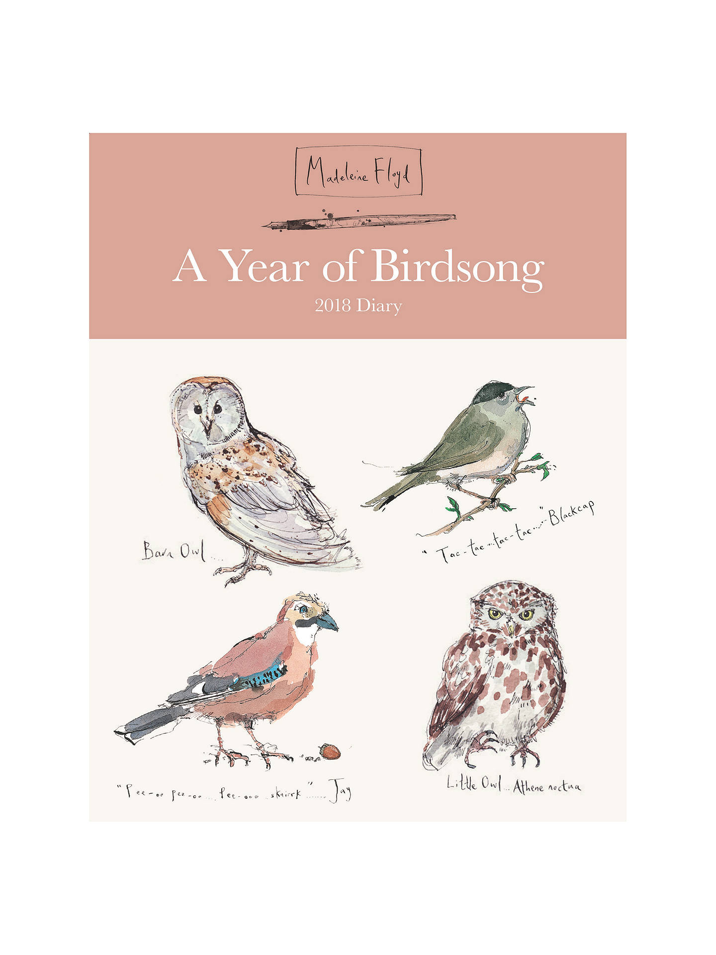 Madeleine Floyd A Year Of Birdsong 2018 Desk Diary at John Lewis & Partners
