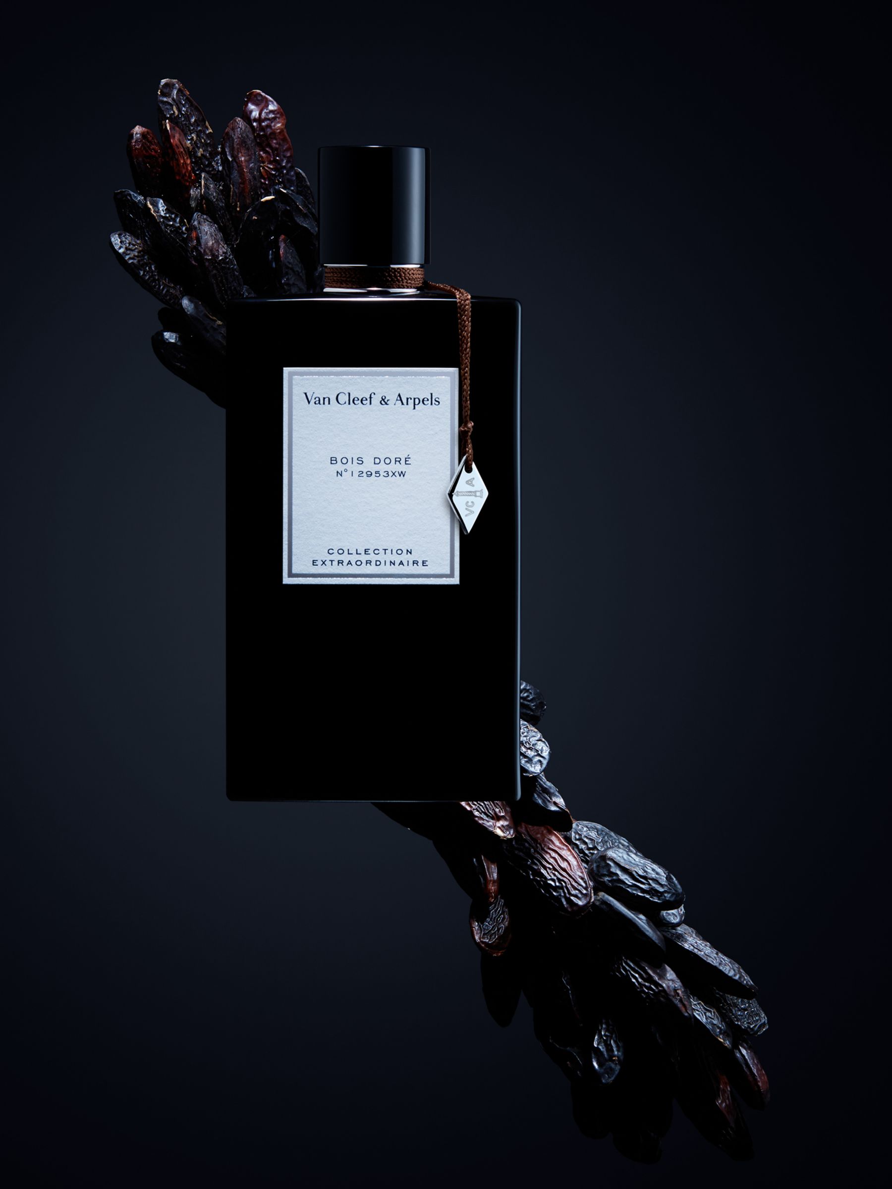 Van Cleef & Arpels Collection Extraordinaire Bois Doré Eau de Parfum ...